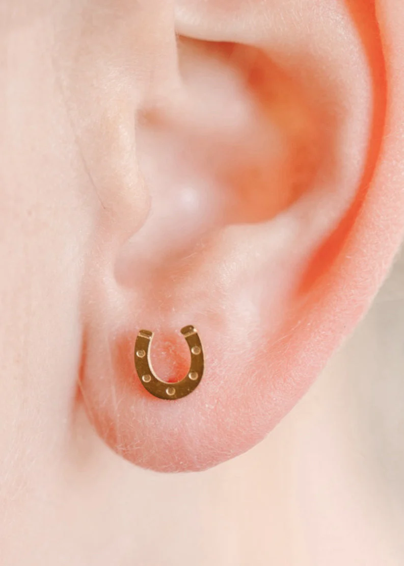 Lucky You Horseshoe - Image 4