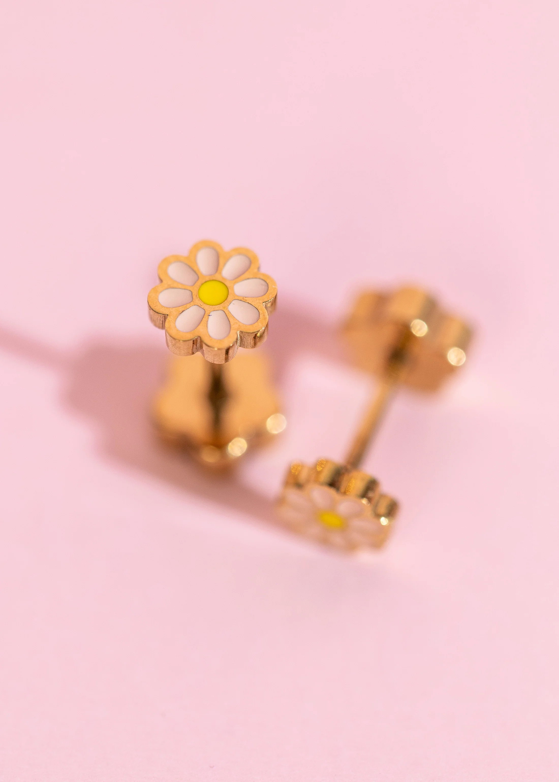 Tiny Peach Daisy
