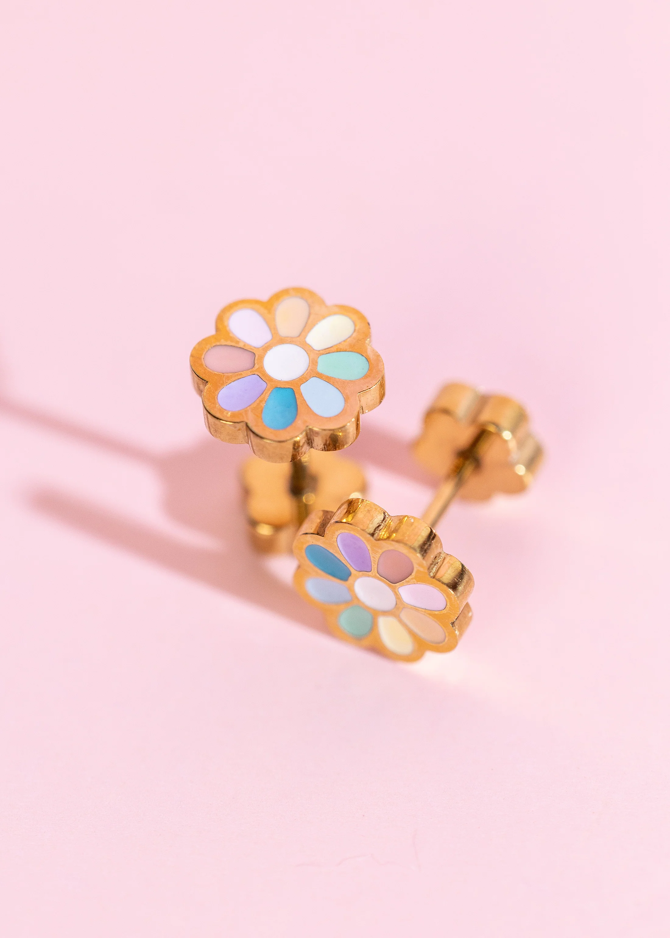 Rainbow Daisy - Image 2