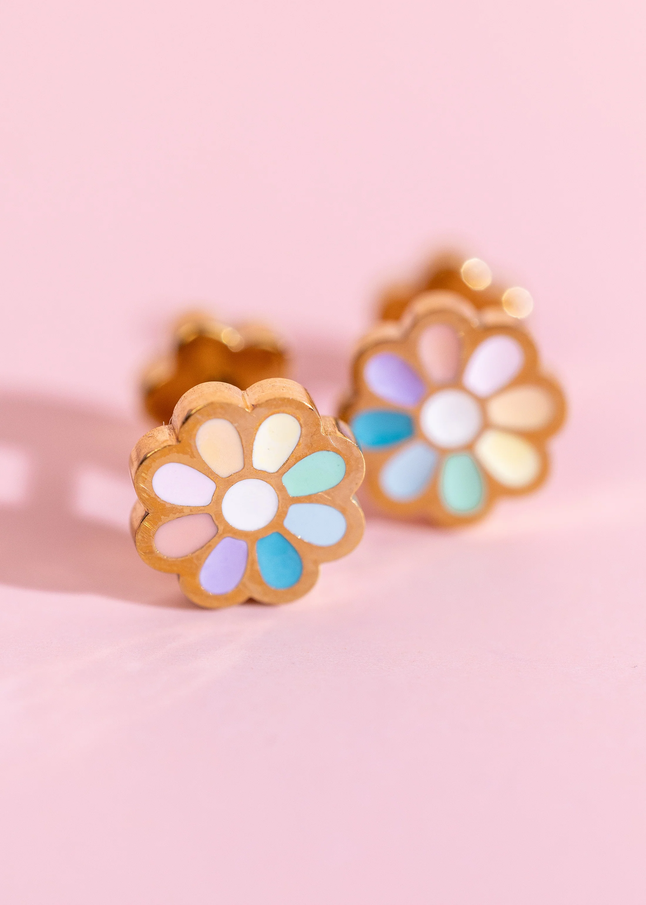 Rainbow Daisy - Image 3