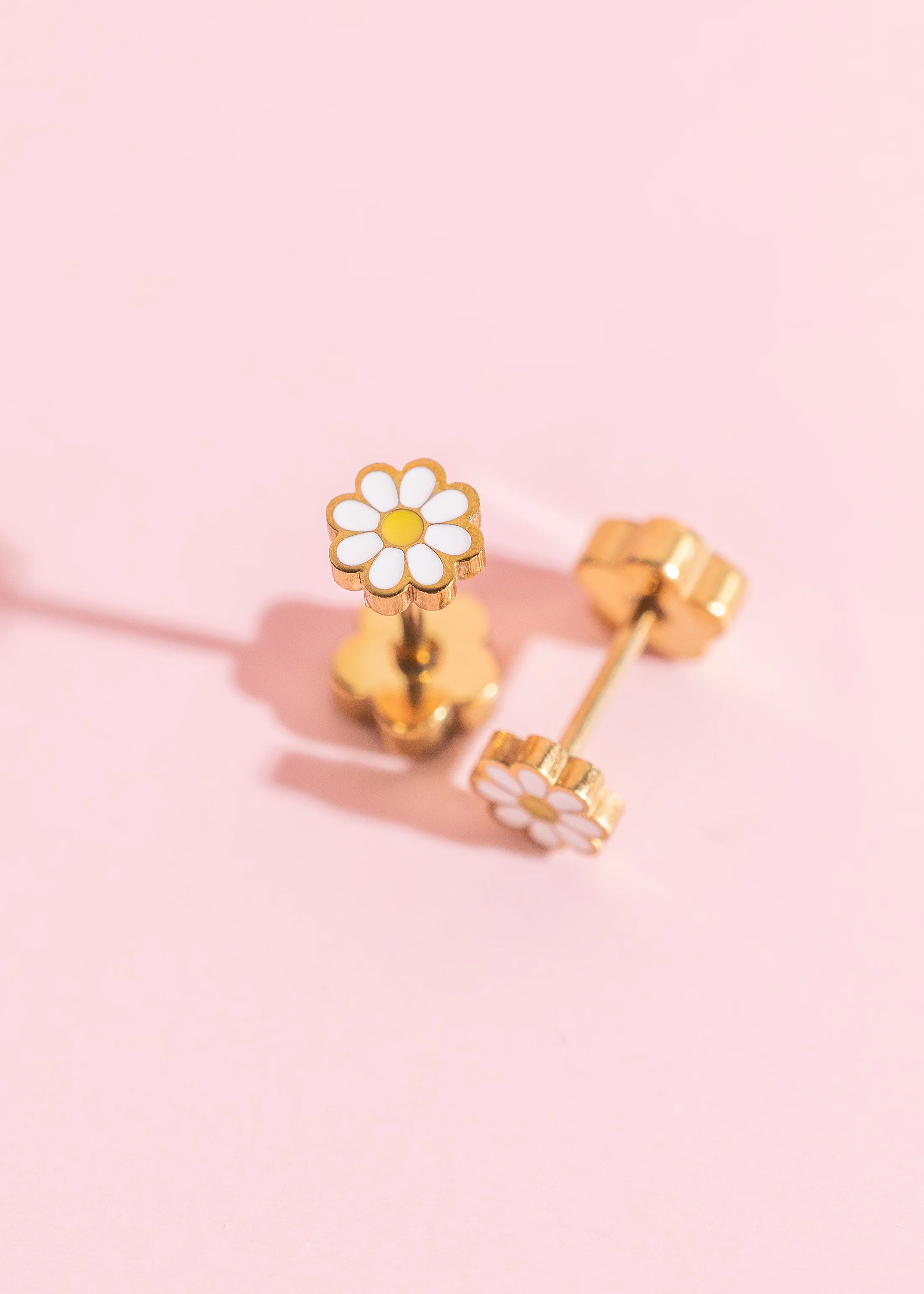 White Tiny Daisy